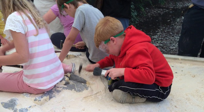 Toby unearthing a Stegosaurus at the Eden Project