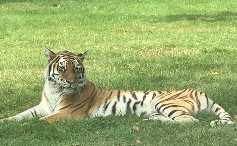 9EFFC1E2-84A9-4E92-B654-813F30A85FDD